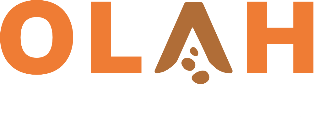 Olah Group